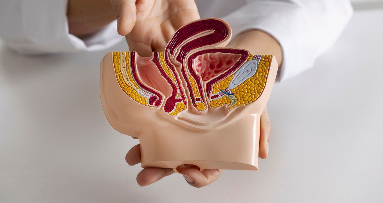 Reconstructive Urology Treatments In Kolkata by Dr. Debmalya Gangopadhyay, Consultant Urologist in Apollo Multispeciality Hospitals in Kolkata